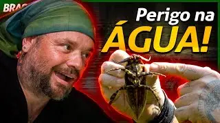 A BARATA COM A PIOR FERROADA QUE EXISTE! | RICHARD RASMUSSEN