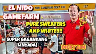 FIESTAG 2023 DICKY LIM | EL NIDO GAME FARM | BREEDER ADVENTURES TV