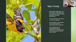 Foundational Ecosystem Support for Birds