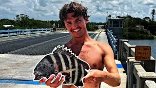 Catching PB sheepshead in Florida!