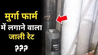 Chicken Farm Murga Jali Price | Full Details 2022