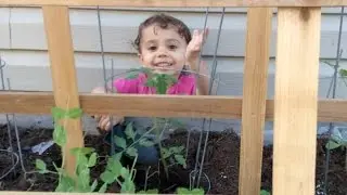 Today's FUN Calendar for Kids! - April 29, 2017