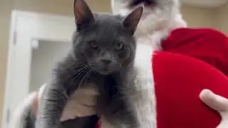 Santa Visits the Animal Rescue! - Paws4ever Christmas 2025