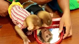Lyly Boki In Mirrors Hilarious Reactions/ Boki Suggest Lyly Look Too
