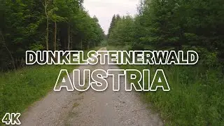 VIRTUAL RUN #001 - Dunkelsteinerwald, Lower Austria (5 km / 167m alt gain / 6:27 kph)