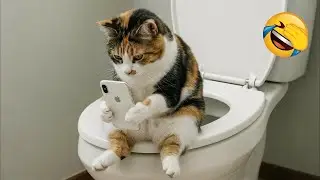 Try Not To Laugh 😅 Funniest Cats and Dogs Videos 2026 😽🐶 Part 9