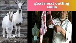 Goat meat cutting skills | fresh goat meat | uncle selling fresh & soft goat ( बकरा ) meat.