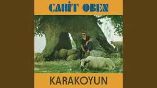 Karakoyun