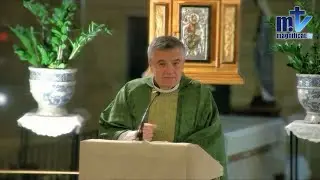 “Déjate Salvar Por Cristo” | Homilía, II Domingo del T.O. (18-01-2026) | P. Santiago Martín, FM