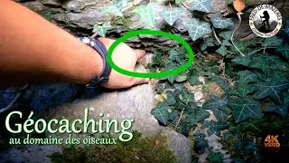 Géocaching au Domaine des oiseaux  09