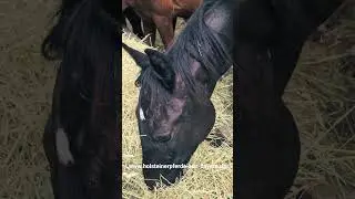 Care the #1yo #behindthescenes