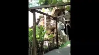 Shortcut through Animal Kingdom