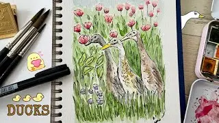 INK AND WATERCOLOR DUCKS 🦆🦆🦆ILLUSTRATION #inkandwatercolor #ducks #spring