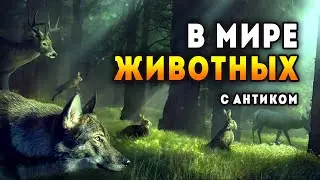 Natural Instincts 🐰 Охрана природы это вам не шуточки! / Демо Осенний фестиваль Steam