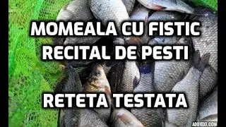 Momeala cocolos cu fistic pentru CRAP si CARAS
