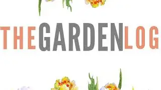 #62 Acanthus out, clematis up, lawns in a horrible yellow mess: A gardening podcast