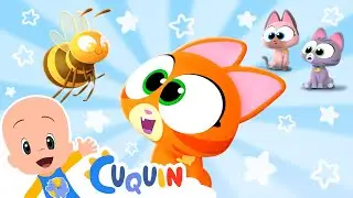 Little Cat is not a Bee 😺🐝 Nursery Rhymes by Cleo and Cuquin | Children Songs