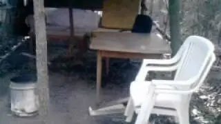 Shack in the bush!