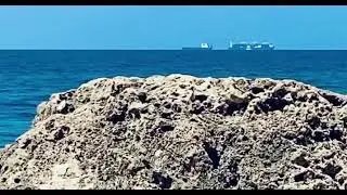 'FAST CARGO SHIP!', MINA, 2024
