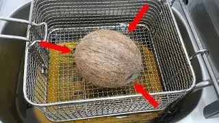 What Going to Happen a Whole Coconut of Hot Oil? || Experiment Shows