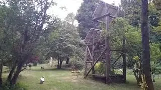 Owl Vs. Cat!