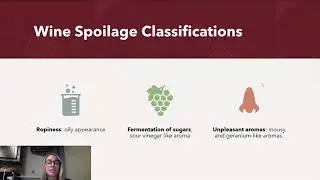 Food Microbiology: Wine Spoilage
