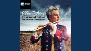 Flute Concerto in G Major, QV5:174: II. Arioso e mesto