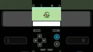 HOW TO EVOLVE TREECO IN POKEMON PLATINUM IN INDIA #pokemon #gaming #nintendo #charizard