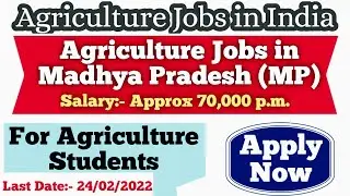 🔥🔥कृषि भर्ती 2022 || RVSKVV MP || For Agriculture Students || Salary:- Approx 70,000 p.m.| Apply Now