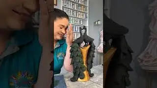 675 pavo real