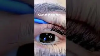 Cluster eyelashes #eyelashesvendor #eyelashfactory #eyelashextensions #minkeyelashes