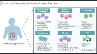 How Immunosuppression (Weak Immune System) Increase risk of More Infections