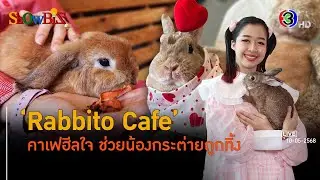 Rabbito Cafe คาเฟแนวซีเอสอาร์ช่วยกระต่ายถูกทิ้ง l 10 พ.ค. 68 FULL l BTimes Weekend