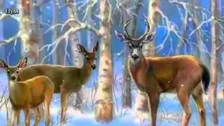 Winter Sonata -  Only You - Park Jung Won - Piano & Violin