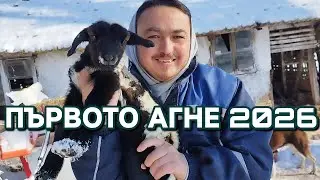 ПЪРВОТО АГНЕ ЗА 2026 НА СЕЛО И МАЛКИ ПРОБЛЕМИ