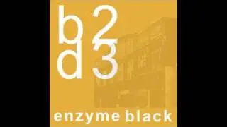 Enzyme Black - Money Honey