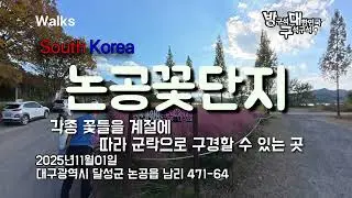 각종 꽃의 계절별 군락을 구경할 수 있는 논공꽃단지 - Daegu Nongong Flower Complex
