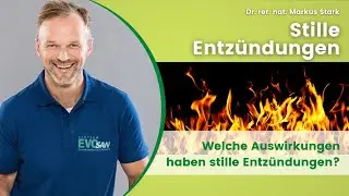 Stille Entz&uuml;ndungen - Auswirkungen & Ursachen, Markus Stark