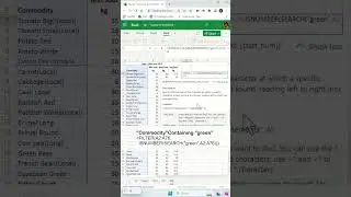 Как выполнить частичное совпадение с помощью функции FILTER &mdash; советы и рекомендации по Excel #shorts