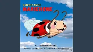 Hjulene På Bussen