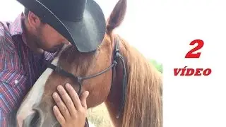 Edgar De Alba - Método 125 Montas - Episodio 2 videos de caballos