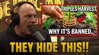 One Copper Wire 4x Your Harvest - Why Science Hide This!!??