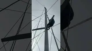 Round 2 #catamaran #boat #dog #sailing