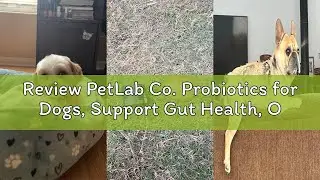 Review PetLab Co. Probiotics for Dogs, Support Gut Health, Occasional Diarrhea, Digestive Health & S