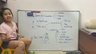 Science tools and Data Graphing