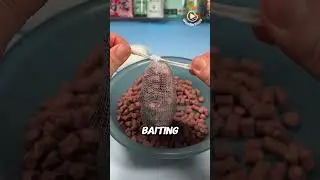 This Magic Bag Dissolves in Water