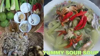 Alocasia Macrorrhizos/Sour Soup with Small Fish | Cambodian soup recipes