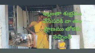ఇల్లు శుభ్రము చేసేలోపి నా తల ప్రాణము తోకకొచ్చింది