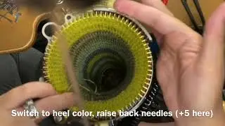 CSM: High Striped Color Block Socks