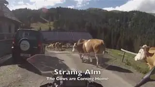 Stranig Alm
